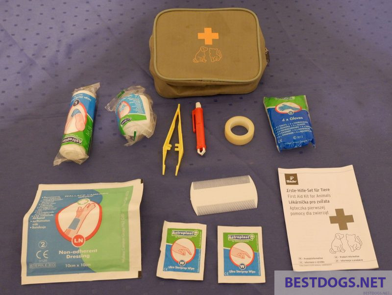 first aid kit for dogs