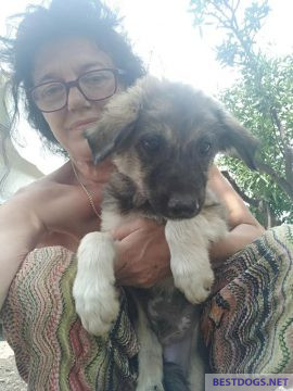  Afrodith with one of her 'garbage dogs'.