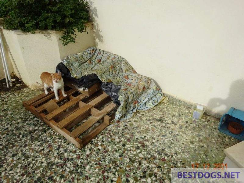 Shelter boxes 