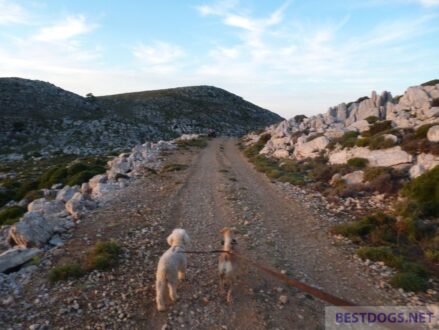 Wanderung mit Dudi