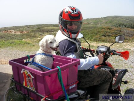 quad bike trip