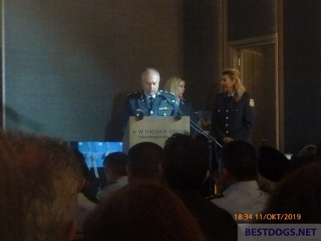 Lieutenant General of the Cretan Regional Police