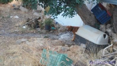 agnik oct23 01