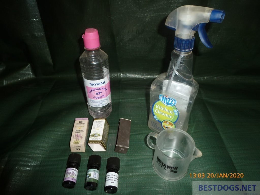 ingredients to mix an anti-flea spray