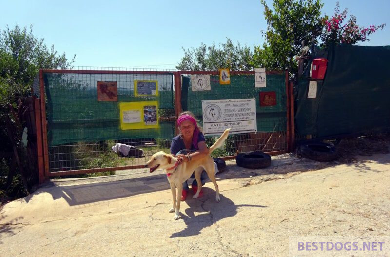 horse farm in Kato Episkopi