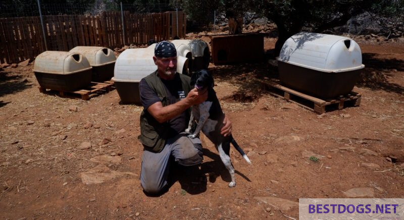 Shelter Fino Animal Rescue 1 'Finokalia Animal Help'