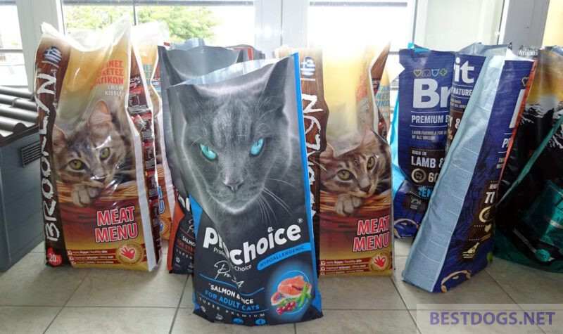 cat food in pet shop