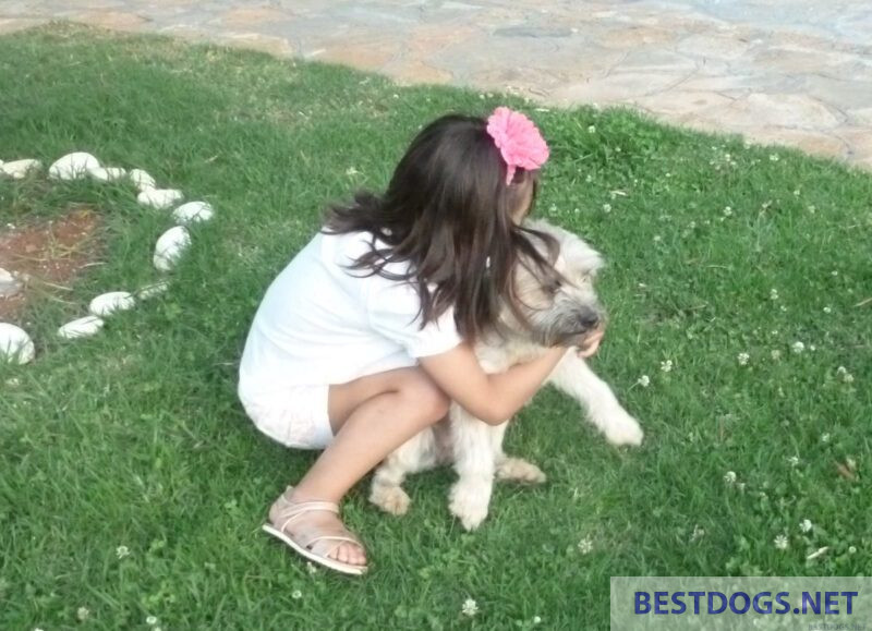 Children and dog