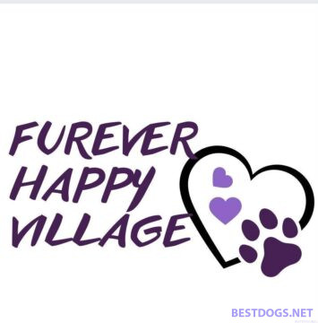 'Furever Happy Village'