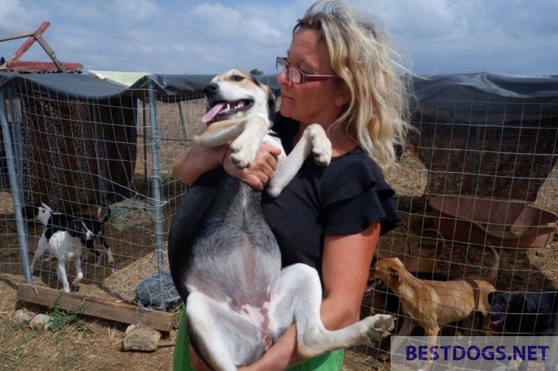 Katja with one of her dogs