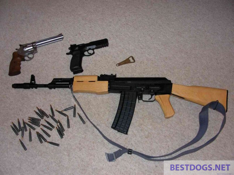 Kalashnikov assault rifle