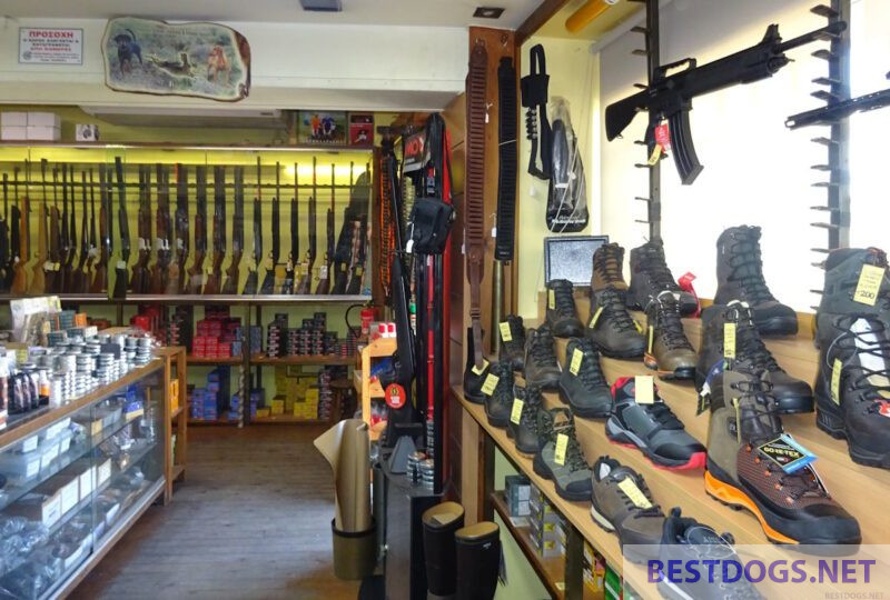 store for weapons