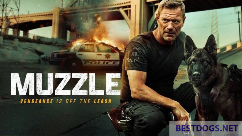 Movie Muzzle