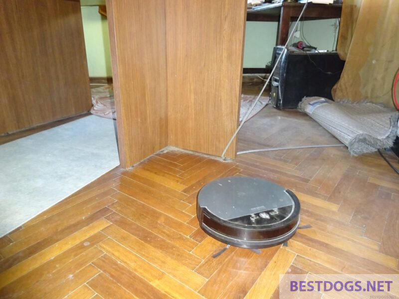 Silvercrest Robot Vacuum Cleaner with Mop Function SSWR A1
