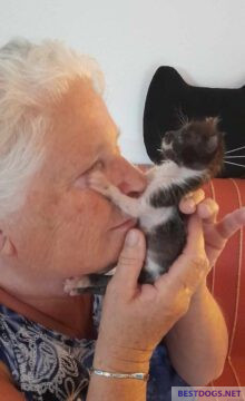 Sam with his foster mom