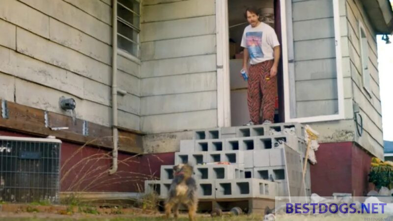 Will Forte